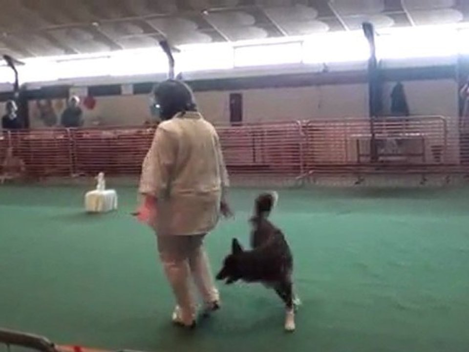 20120325153602