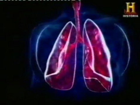 Miedos primarios: El ahogamiento