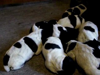 ET ENCORE LES BEBES LE 25 MARS