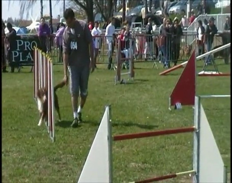 concours agi dole 2012