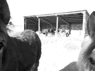 eden et bounty le 26.03.2012 026