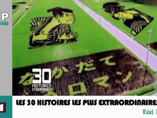 Zapping télé du 26/03/12 - L'oigami sur papier toilette, une prothèse pour éléphant...