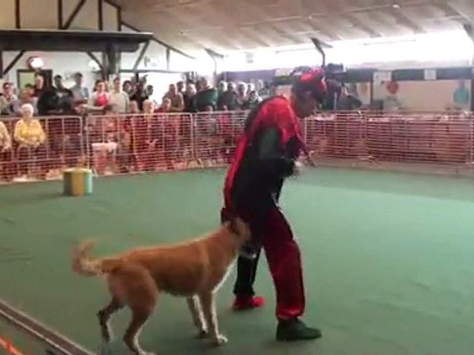 20120325142653