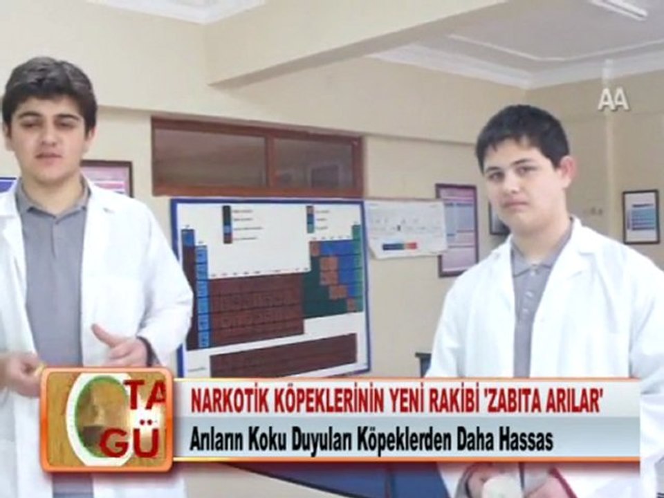 NARKOTİK KÖPEKLERİNİN YENİ RAKİBİ ZABITA ARILAR 26.03.2012