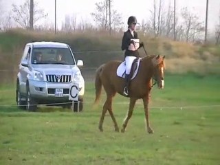 2012-03-25_Dress-Coraline