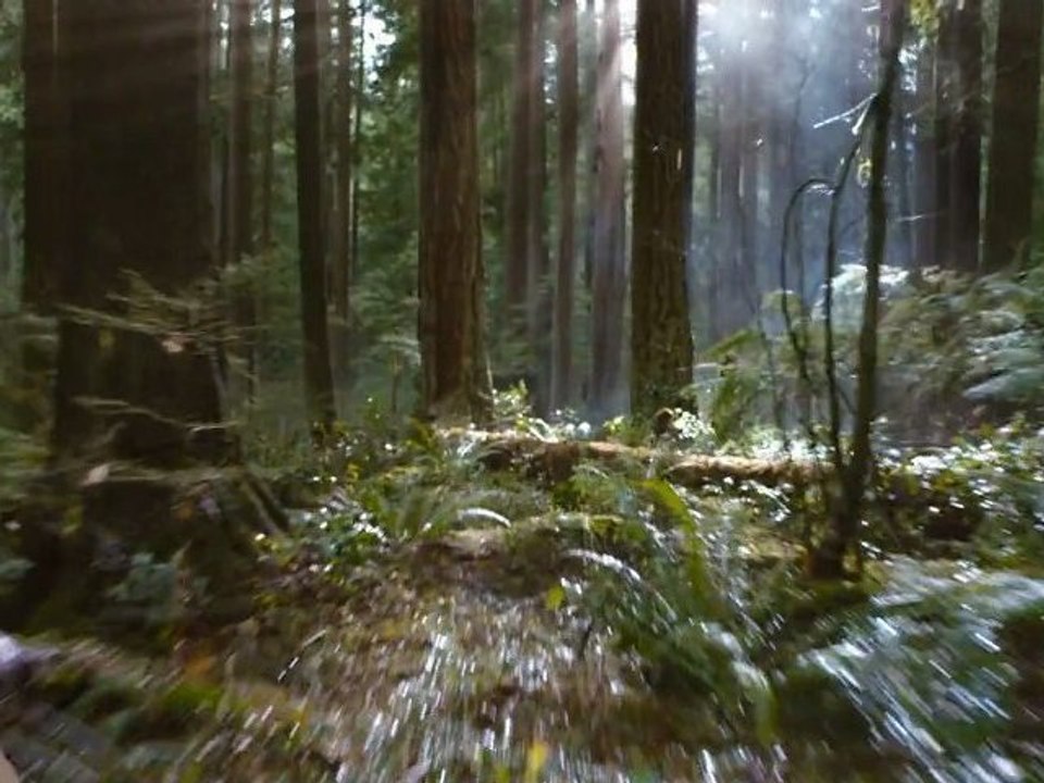 Twilight Chapitre 5  Révélation 2ème Partie : bande annonce teaser VO