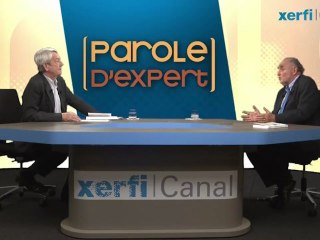 Xerfi Canal Henri Lachmann Capitalisme et cohésion sociale