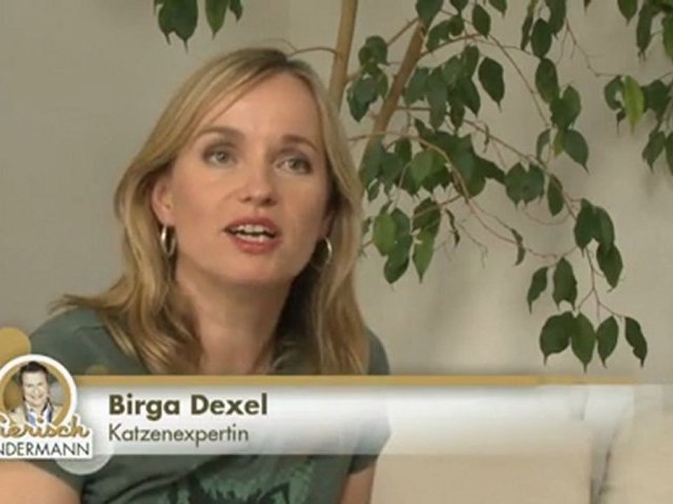 Darf die Katze ins Bett