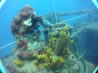 Guadeloupe - Initiation apnée sur épave Franjack (1)