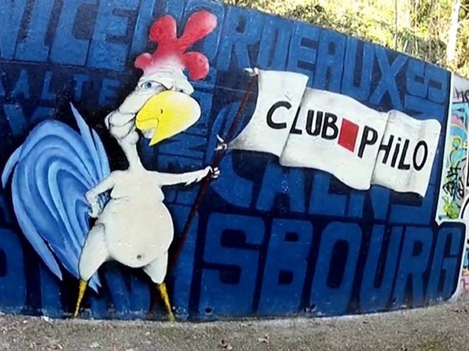 E.E.E. - FRESQUE 2012