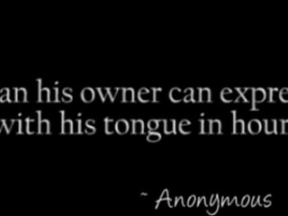 A dog can express more with his tail in minutes