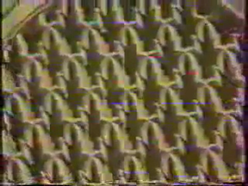 Abdelbasset Abdessamad عبد الباسط عبد الصمد