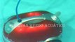 limpiafondos automatico piscina Naia Productos QP en Piscinas Mundo Acuatico