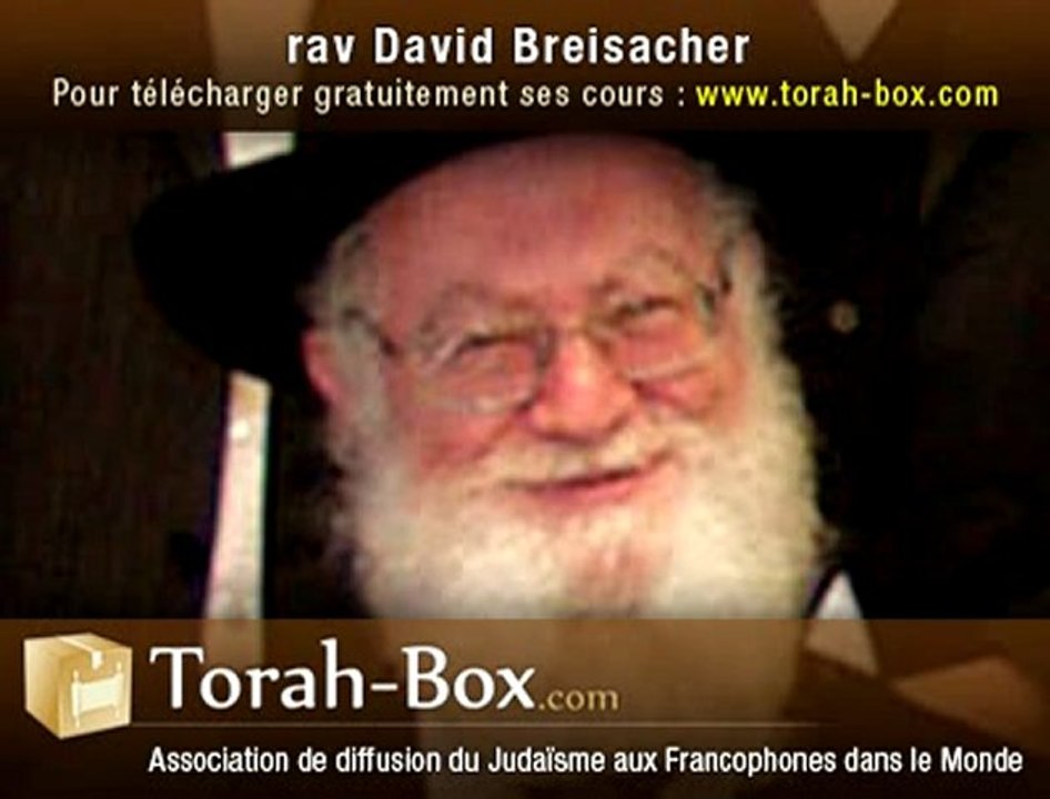 rav-David-BREISACHER_paracha-Noah.mp3