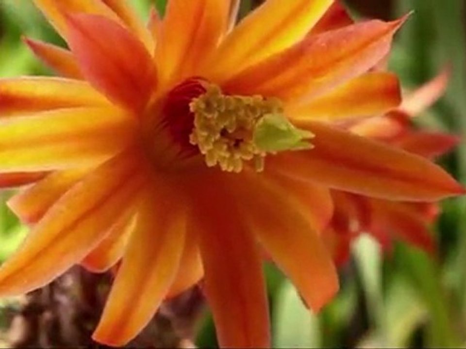 Le labo de l'émission du mag 3D mars 2012