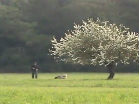 RADENTİS LEON MEMIS DI KOS