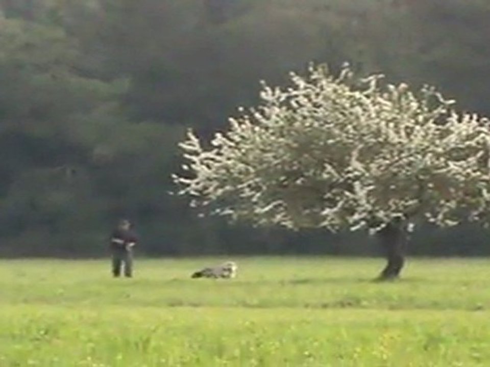 RADENTİS LEON --MEMIS DI KOS