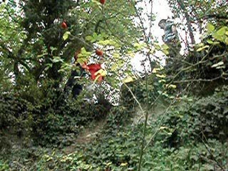 DSCN3671