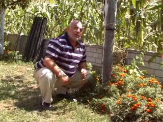 40lık Yılmaz - Senede Bir