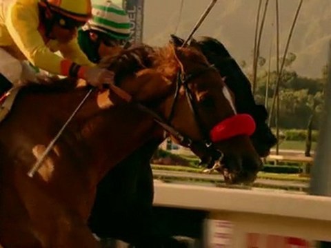 Luck Season 1: Episode #9 - Track Speak Handicapping & Popular Bets