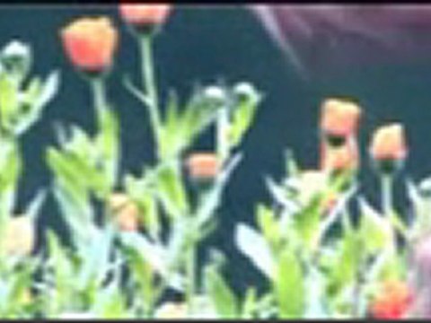 Adem Kodalak - Sensizlik Öyle Zor Ki