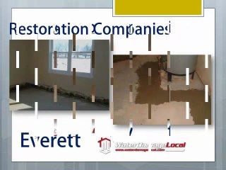 Everett Water Damage Control
