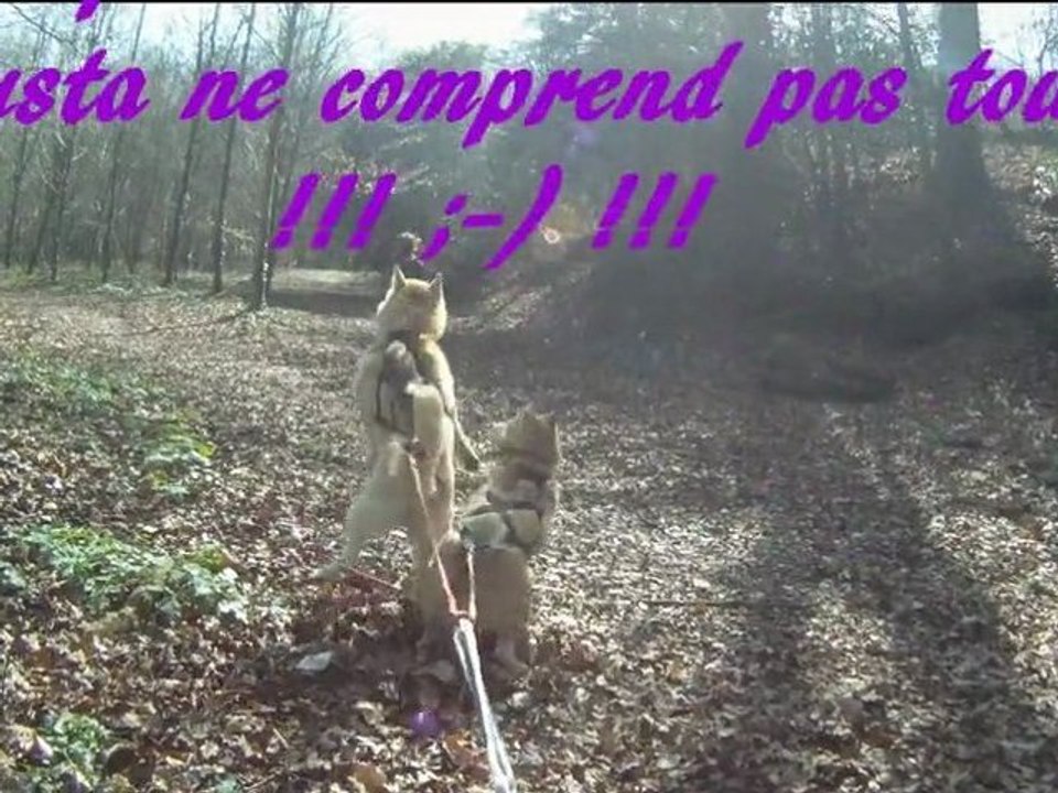 1er entraînement Gusta et Capone caméra embarquée