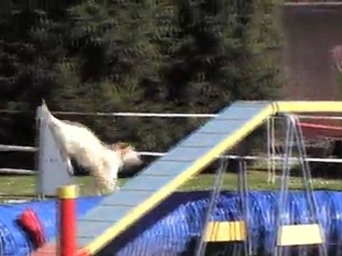 Cerise GPF - Pau 25032012