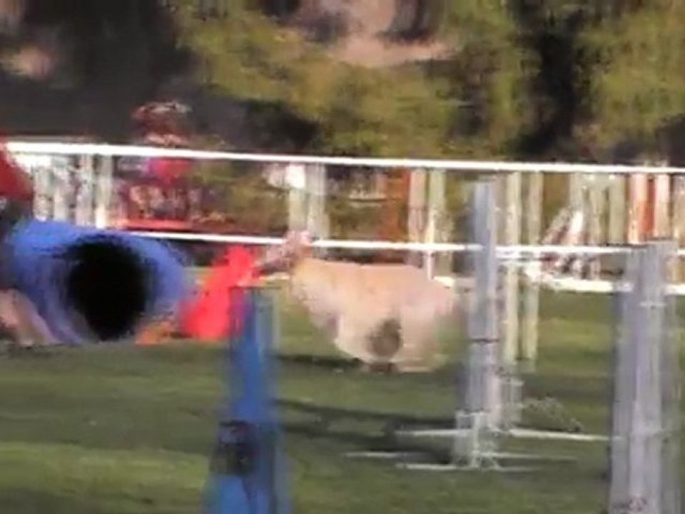 Cerise Jumping - Pau 25032012