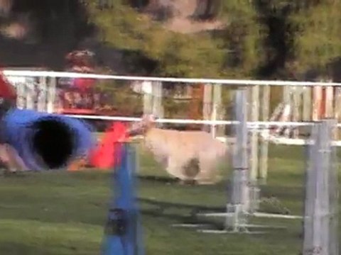 Cerise Jumping - Pau 25032012