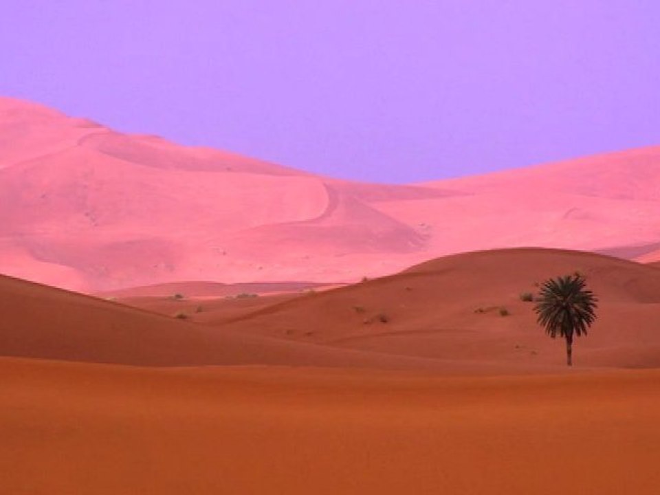 Gazelles2012_05