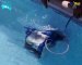 Limpiafondos automático de piscina Tiger Shark en Piscinas Mundo Acuatico