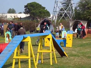 20120325 Agility Valence