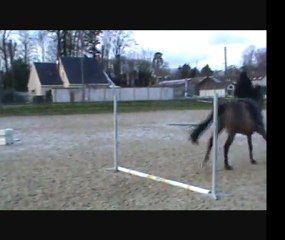 janvier 2012 samedi 1 er groupe