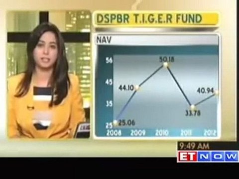 Investor's Guide - Review of DSPBR T.I.G.E.R Fund by Dhirendra Kumar