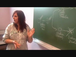 TPE 2012. Stacy, Julien, Sophie & Pauline.