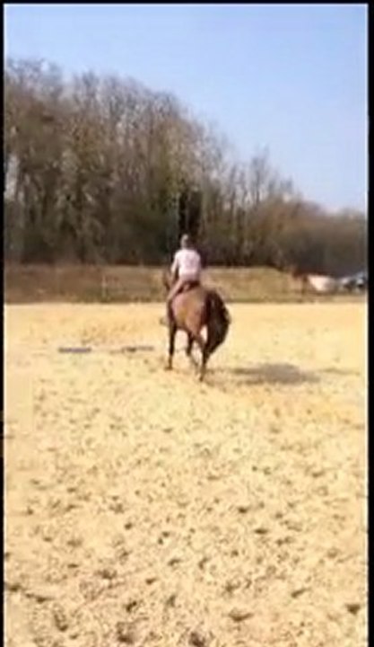 Séance du 24 03 12
