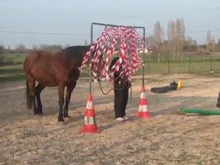 24.03.2012.l.tenebra