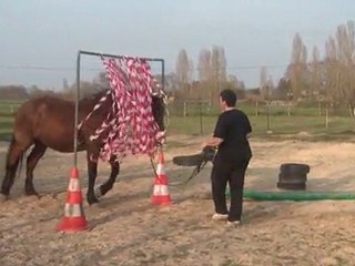 24.03.2012.m.tenebra