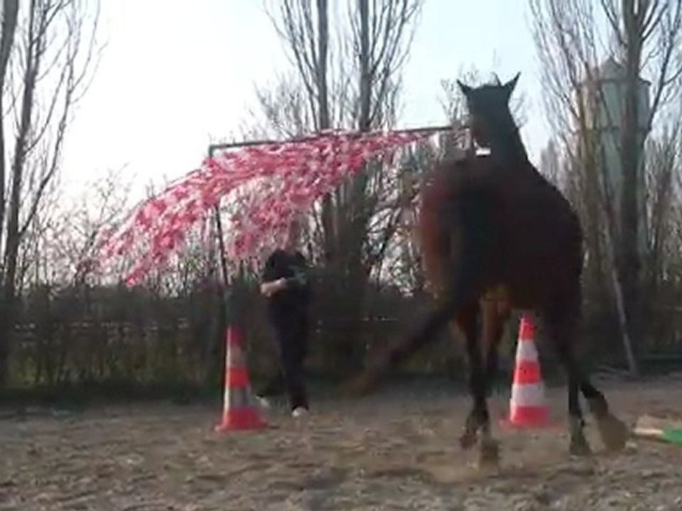 24.03.2012.x.tliloa