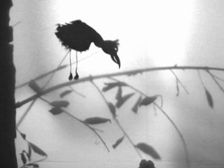 Raising Maise- Second Nature