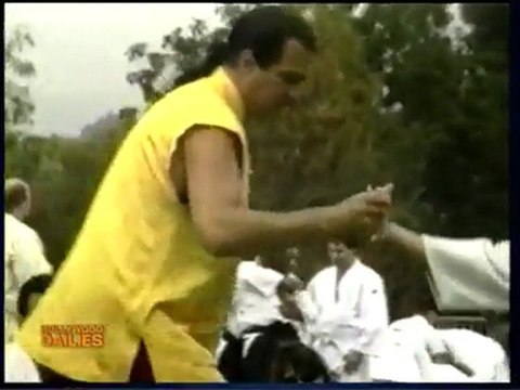 Steven Seagal on Learning Aikido and Other Martial Arts