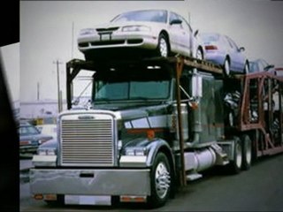 Looking For Transport Services