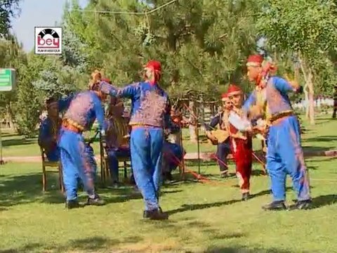 Çeşitli Sanatçılar - Süleğin Çimenine