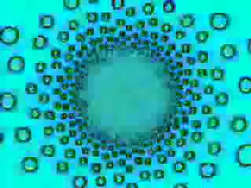 Create Online Database Organization