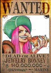 one piece wanted