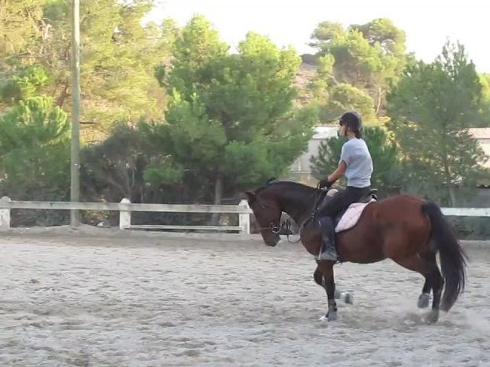 Zalmera CSO (3)