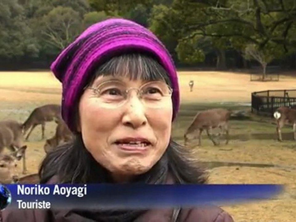 Japon: les daims de Nara, sacrés gourmands amat...