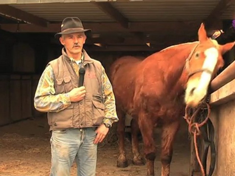 17 mars 2012 - Les navettes à cheval du Mont Saint Michel