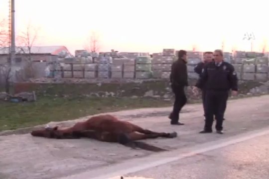 Polislerden ''at'' nöbeti